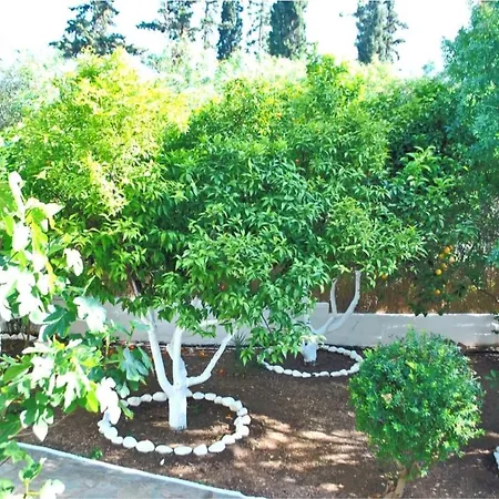 Апартаменты Thalassa Loutra Kounoupelli